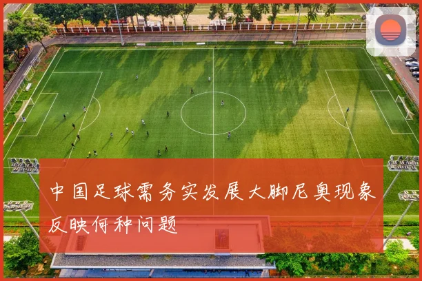 中国足球需务实发展大脚尼奥现象反映何种问题